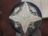 2017-10_Auroville-Cymatics_154