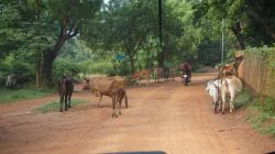 2017-10_Auroville_143